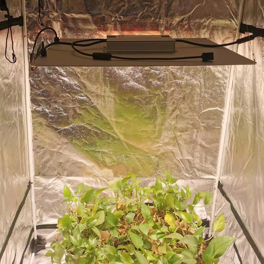 Best 200w 400w 600w 800w Lm301b Commercial Spider Uv Greenhouse Grow Light