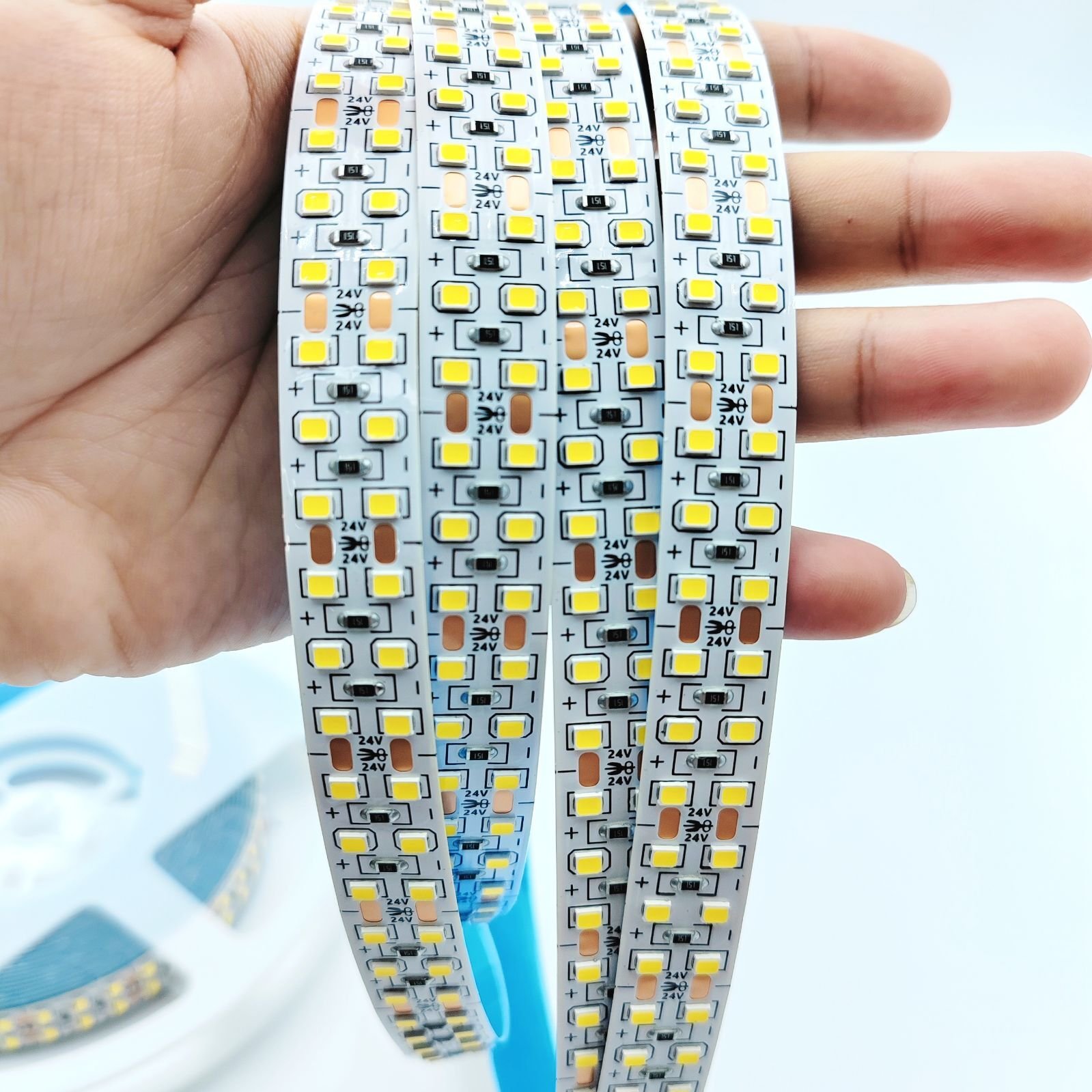 2835 Smart LED Strip Light 3000K 4000K 6000K Color 240 LEDs/m 10m 24V SMD Ceiling Light Garden