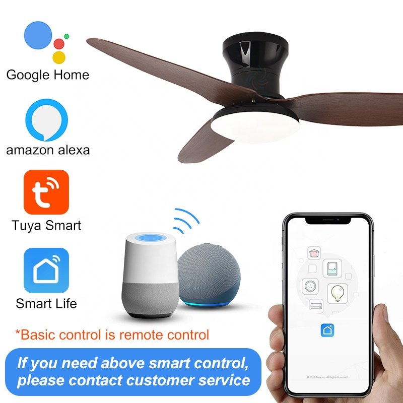 C160 25/40 INCH High air Volume Ceiling Fan with Light with APP CONTROL
