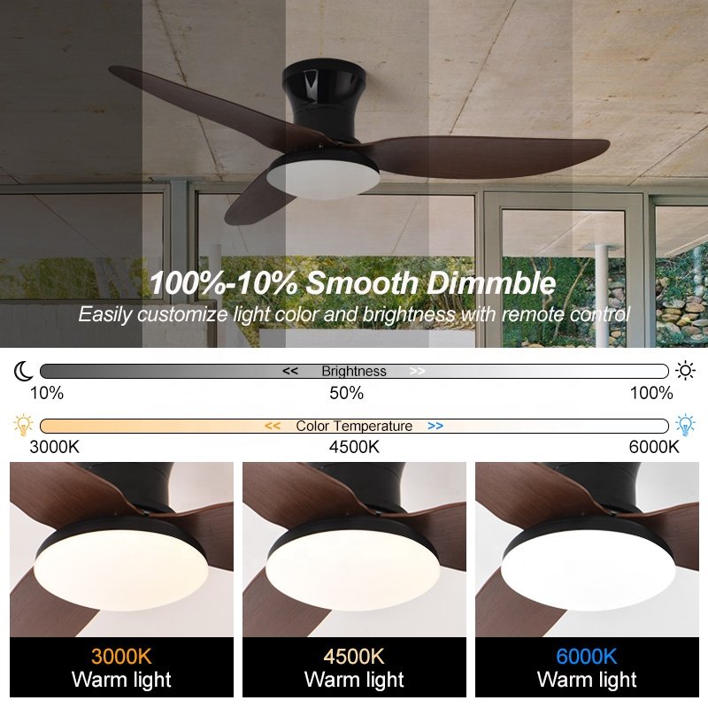 C160 25/40 INCH High air Volume Ceiling Fan with Light with APP CONTROL