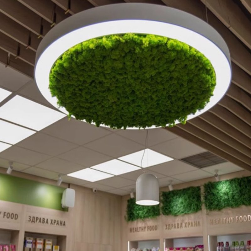 Led Green Plant Bionic Moss Round Chandelier Gym Merchant Super Shape Light Office Meeting Room Shop Circle Ring Art Chandelier