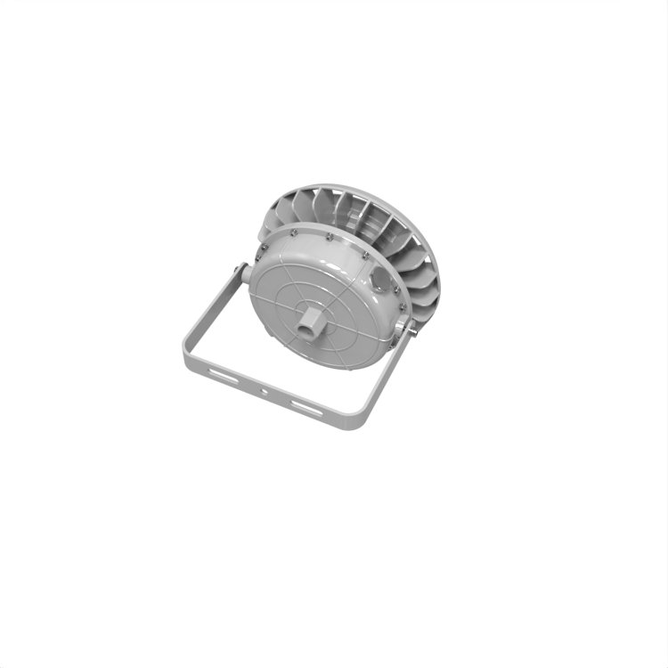 ATEX IECEx Commercial Industrial Lighting 60W/80W IP66 Round Shape Explosion Proof Light Zone 1