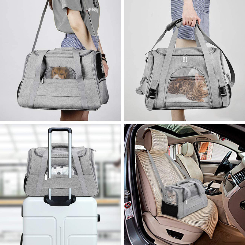 Hot Sale Breathable Dog Soft-Sided Carriers Fashionable Foldable Plastic Mesh Travel Carrier Small Pets Cats Outdoor Belt