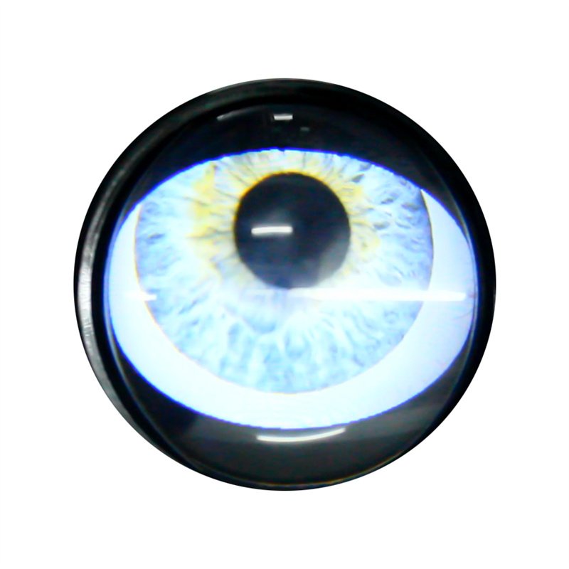 CAR-REFINE Eye Light Led Car Headlight Flat Demon Eyes 5V/12V Universal Type LED 8 Models Hot Sale 3 Inch D-EYE accessories 2024