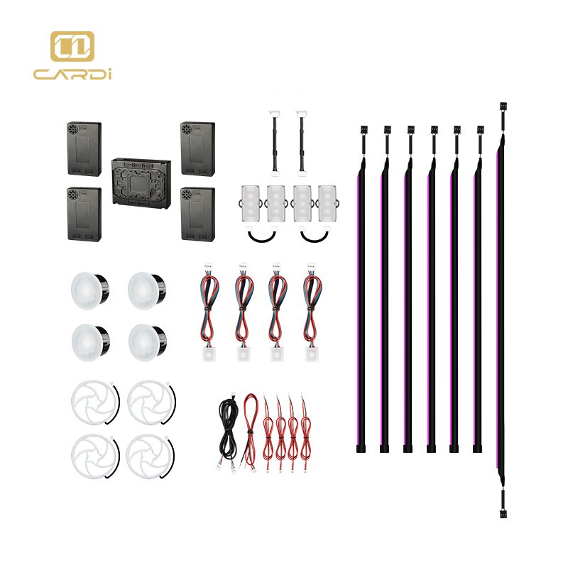 2024 New Style car accessories Interior 18 in 1 Atmosphere Light Strip App Control Led Ambient Lights
