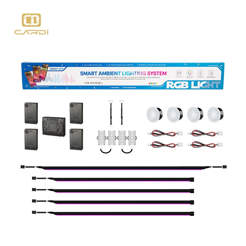 2024 New Style car accessories Interior 18 in 1 Atmosphere Light Strip App Control Led Ambient Lights