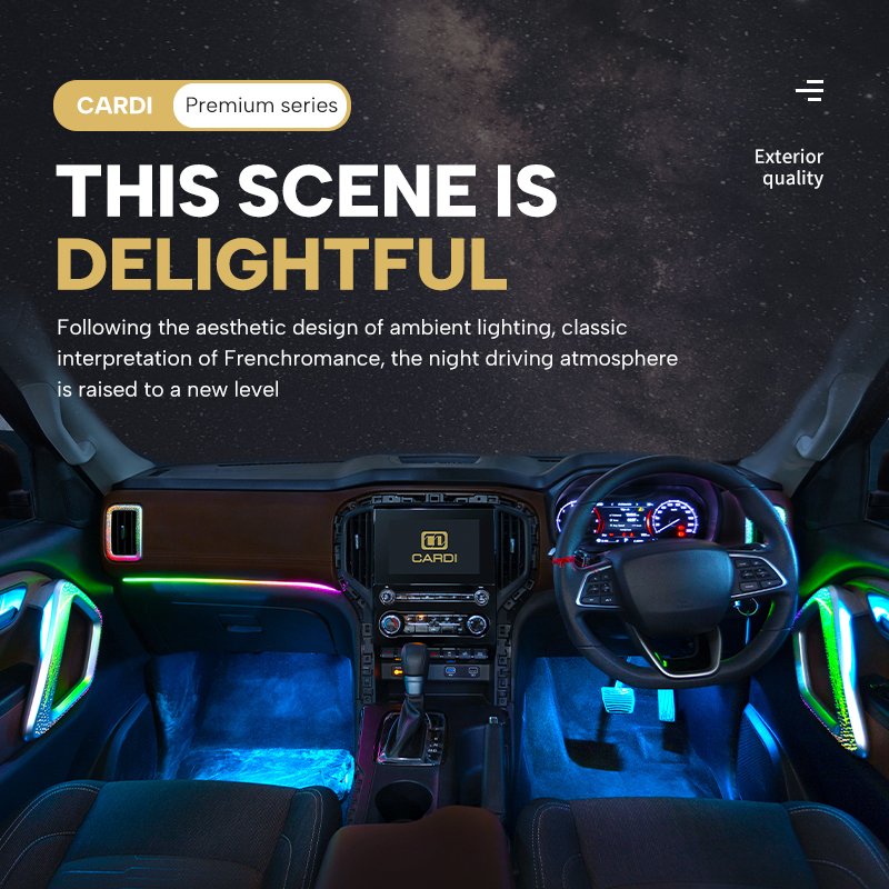 OEM New Release 20 IN 1 Ambient Lighting LED Decoration Kit for Mahindra Scorpio N12V Atmosphere Lights for Cars