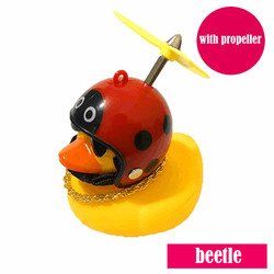 Beetle
