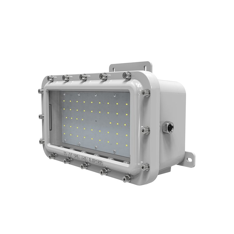 High Quality IECEx ATEX Listed Explosion Proof Light Emergency Back-up Luminaire Evacuation Indicator Light