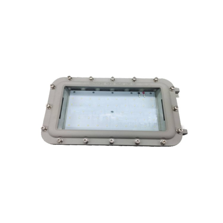 High Quality IECEx ATEX Listed Explosion Proof Light Emergency Back-up Luminaire Evacuation Indicator Light