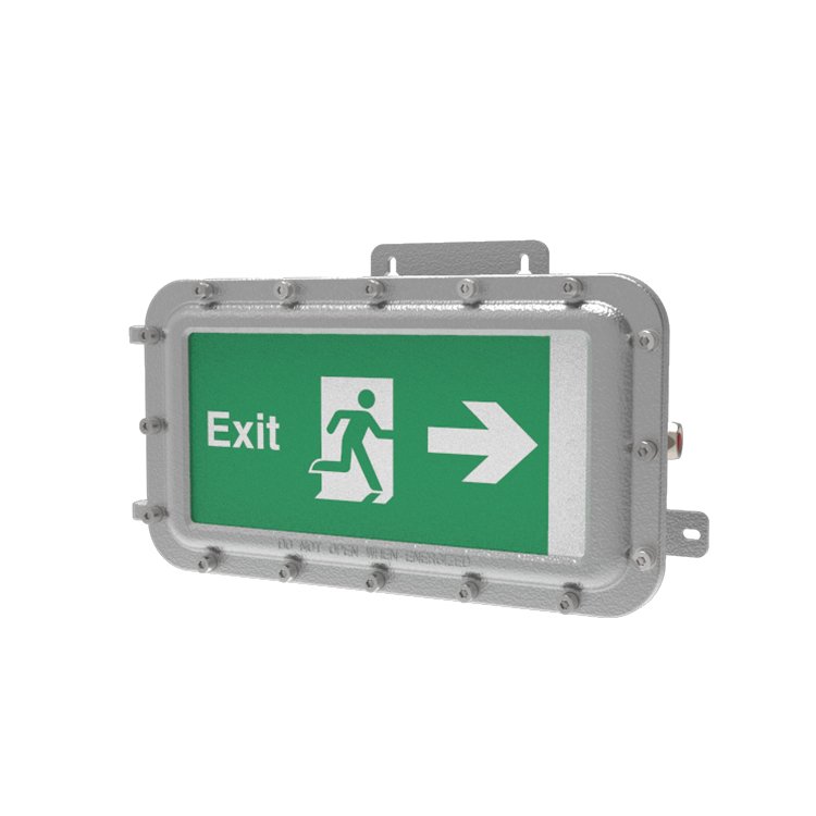 Factory Price Explosion Proof Emergency Luminaire Lithium Battery Fire Exit Green Letters Emergency EXIT Light IECEx ATEX