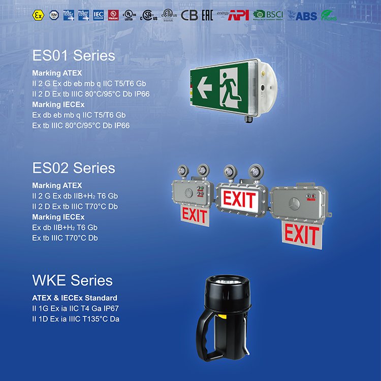 Factory Price Explosion Proof Emergency Luminaire Lithium Battery Fire Exit Green Letters Emergency EXIT Light IECEx ATEX