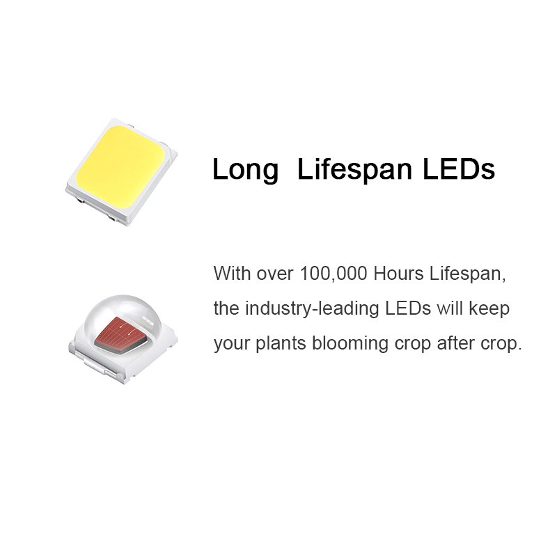 Ip 65 50w Dual Head Lampe Sunspot Plante Ip65 Appolo Mushroom Indoor Garden Starter Grow Light Kit