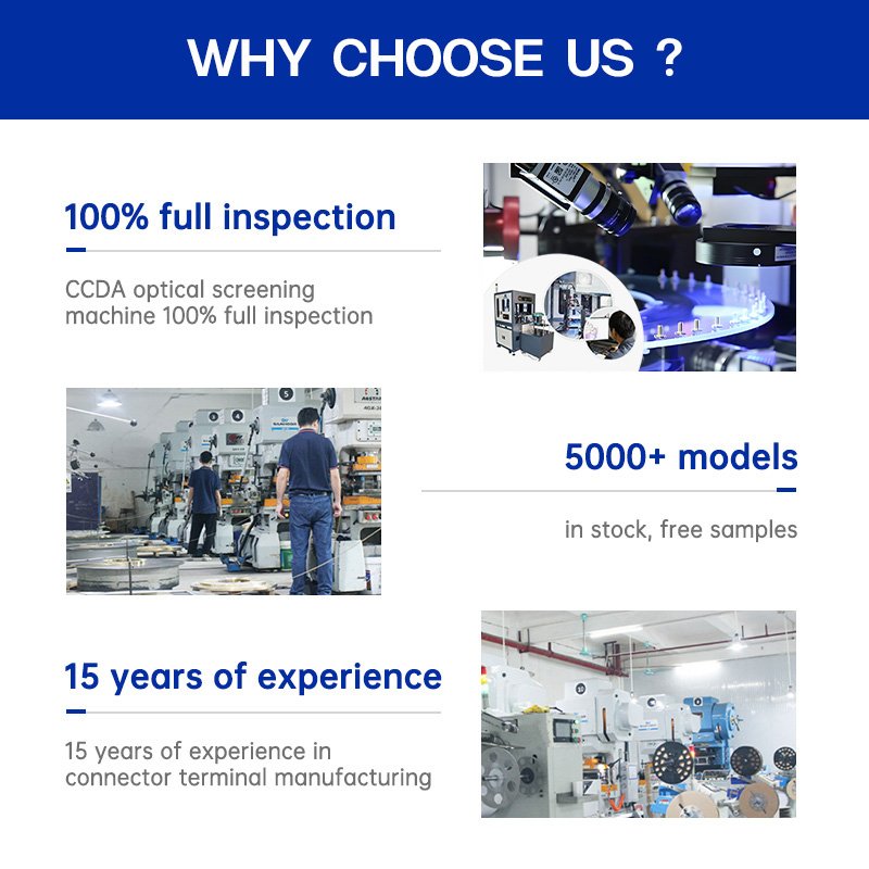 Factory Wholesale Easy and Fast Automotive Medical Communication Ring Terminals 250 Male Connector Terminal