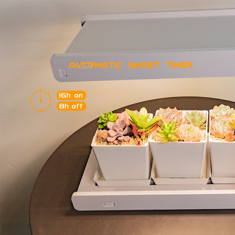 J&C Minigarden Indoire - Decorative Smart Farm Indoor Garden Indoor Herb Garden Pots Herb Garden