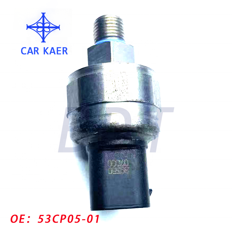 Badatong 53CP05-01 Alternate Pressure Sensors