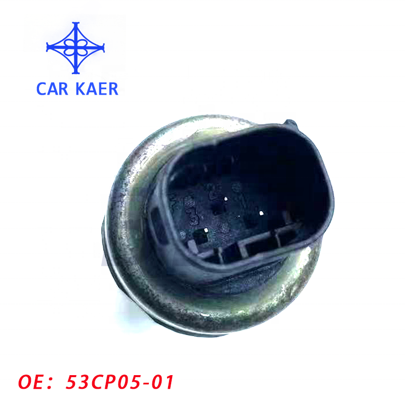 Badatong 53CP05-01 Alternate Pressure Sensors