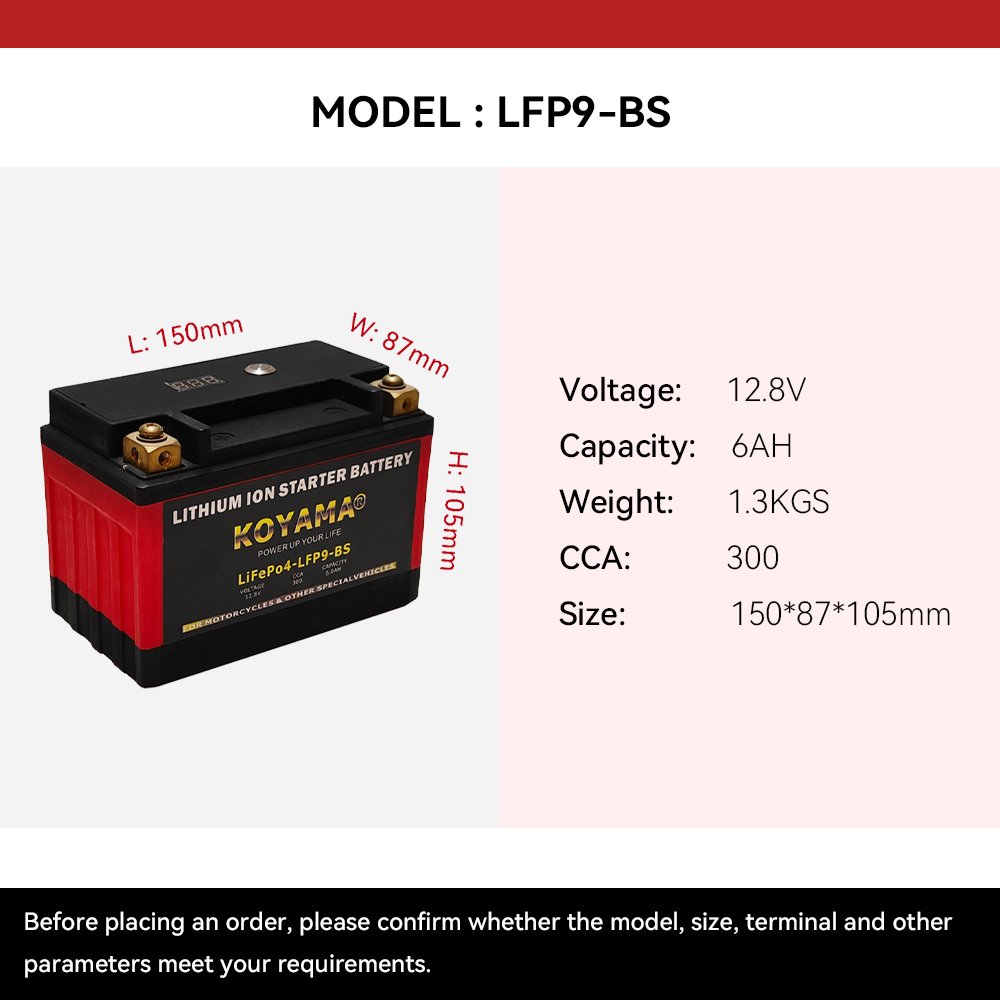 Lithium Iron Phosphate Battery 12.8v 2ah 4ah 6ah 8ah LFP9-BS Lithium Ion LiFePo4 Batteries Lithium Motorcycle Start Battery