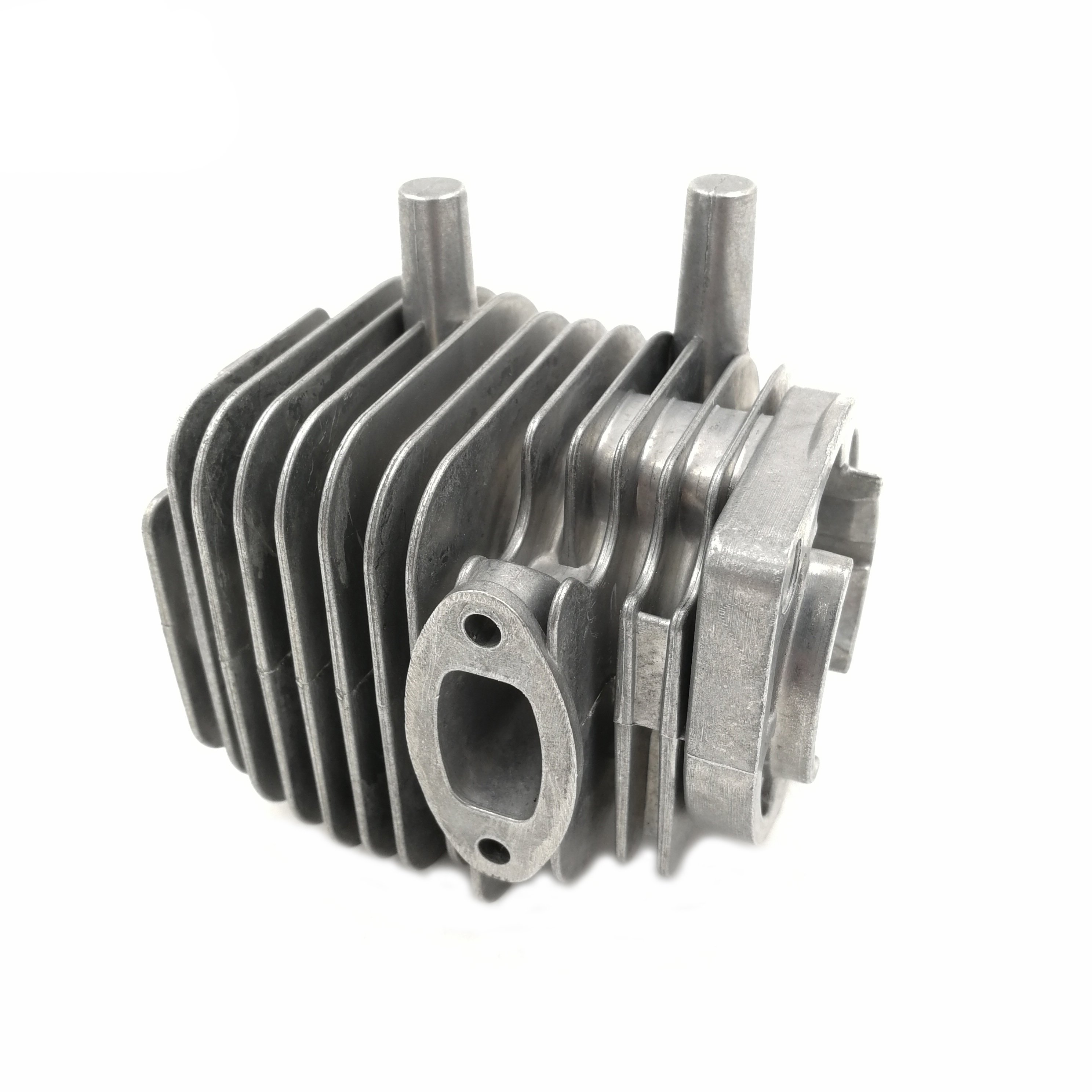 Electric With Lawn Mower Recoil Starter
