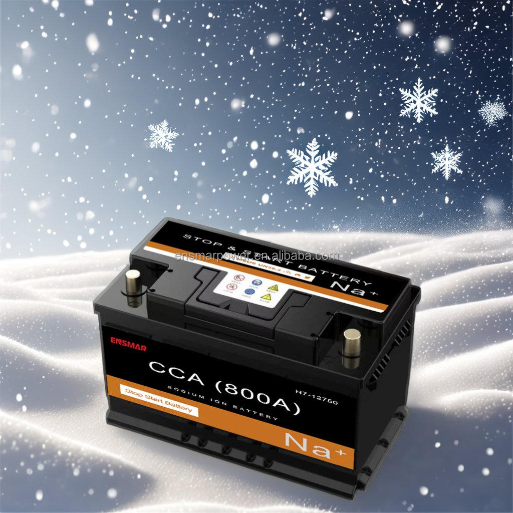 Winter Choice Ensmar Auto Trickle Charger Na Ion Car Starter Battery Supply Boston Group 48 Batteries