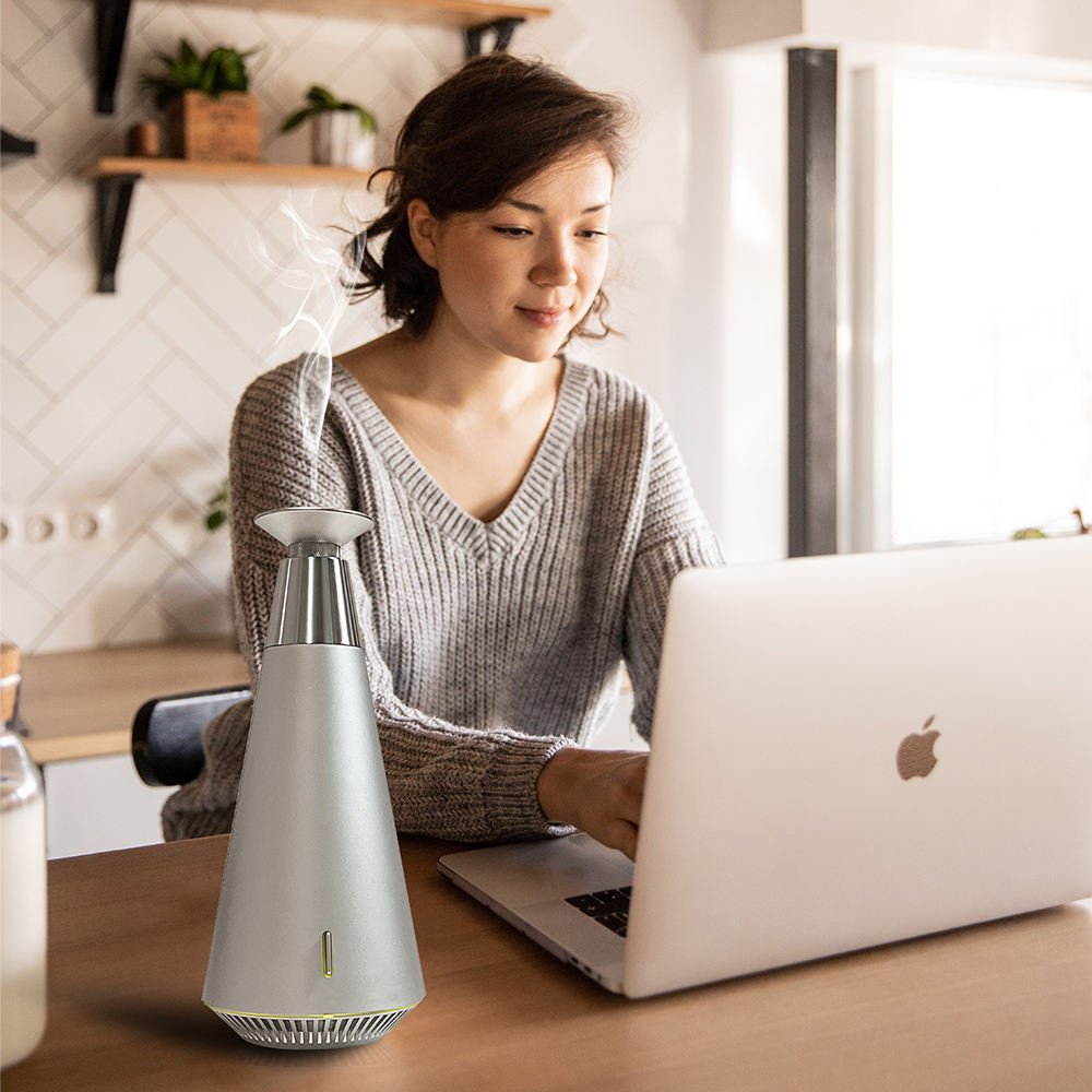 Professional Electric Two-Fluid Atomization Essential Oil Air Freshener Luxury Scenting Aroma Diffuser for Home