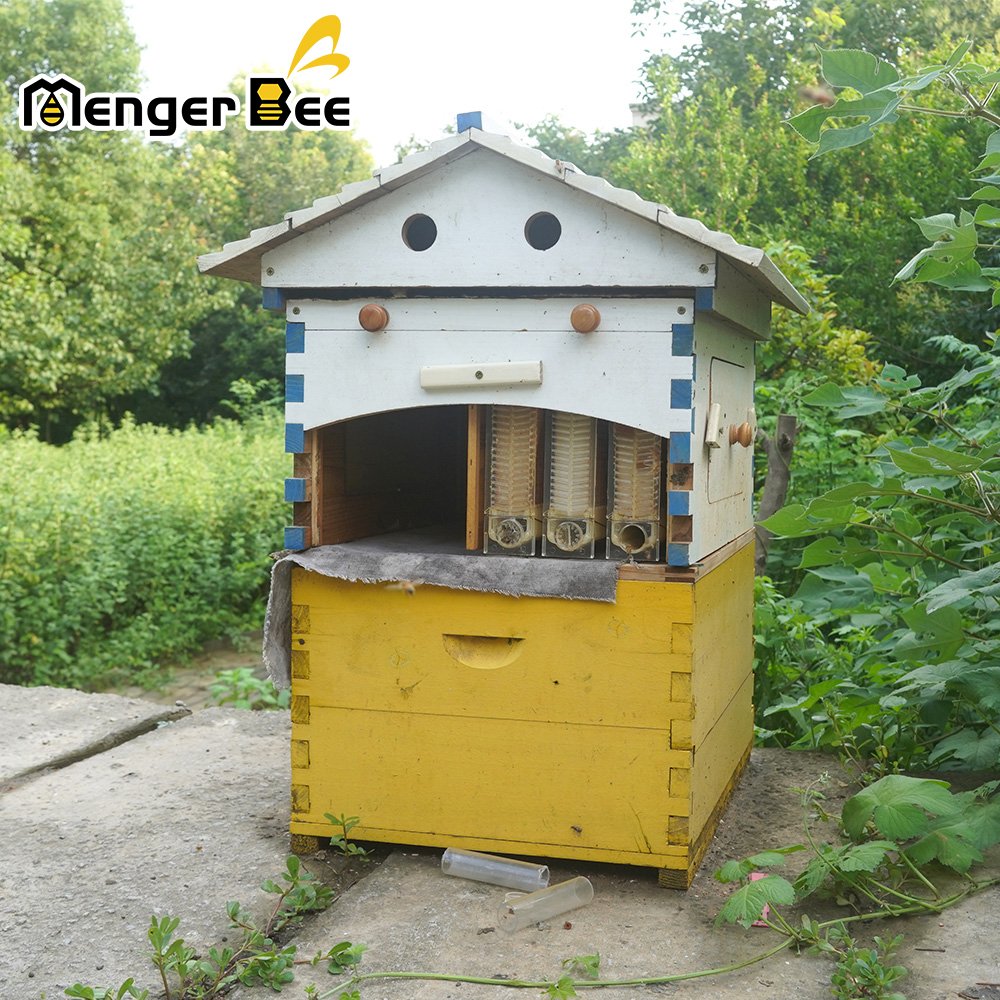 Beekeeping Starter Kit New Condition Auto Flows Wooden Beehive House Automatic Hive For Farm Use