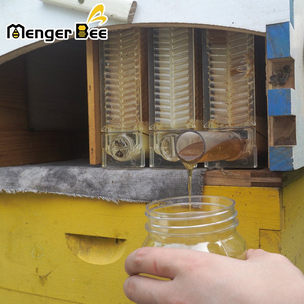 Beekeeping Starter Kit New Condition Auto Flows Wooden Beehive House Automatic Hive For Farm Use