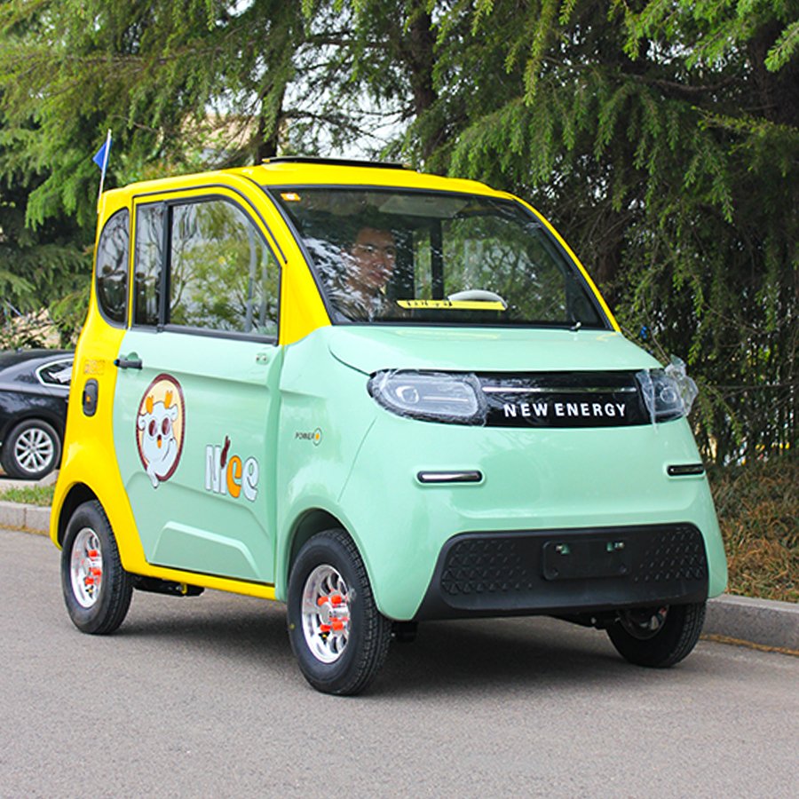 China Cheap High Quality 2 Seater 2 Door Mini Electric Cars Without Driving Licence for Old People