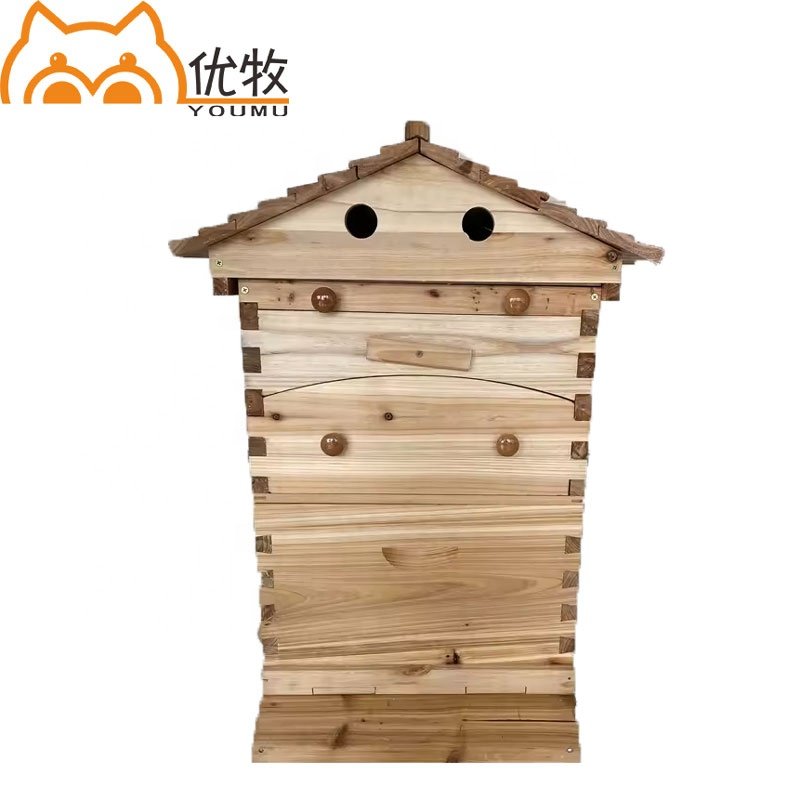 Automatic Wood Bee Hives Auto Frames Automatic Honeybee Hive With 7 Pcs Frames Starter Kit