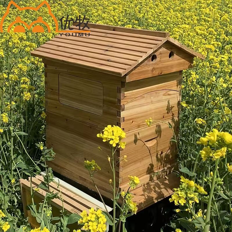 Automatic Wood Bee Hives Auto Frames Automatic Honeybee Hive With 7 Pcs Frames Starter Kit