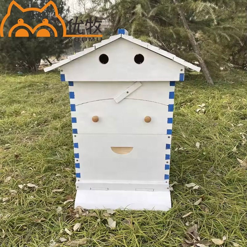 Automatic Wood Bee Hives Auto Frames Automatic Honeybee Hive With 7 Pcs Frames Starter Kit