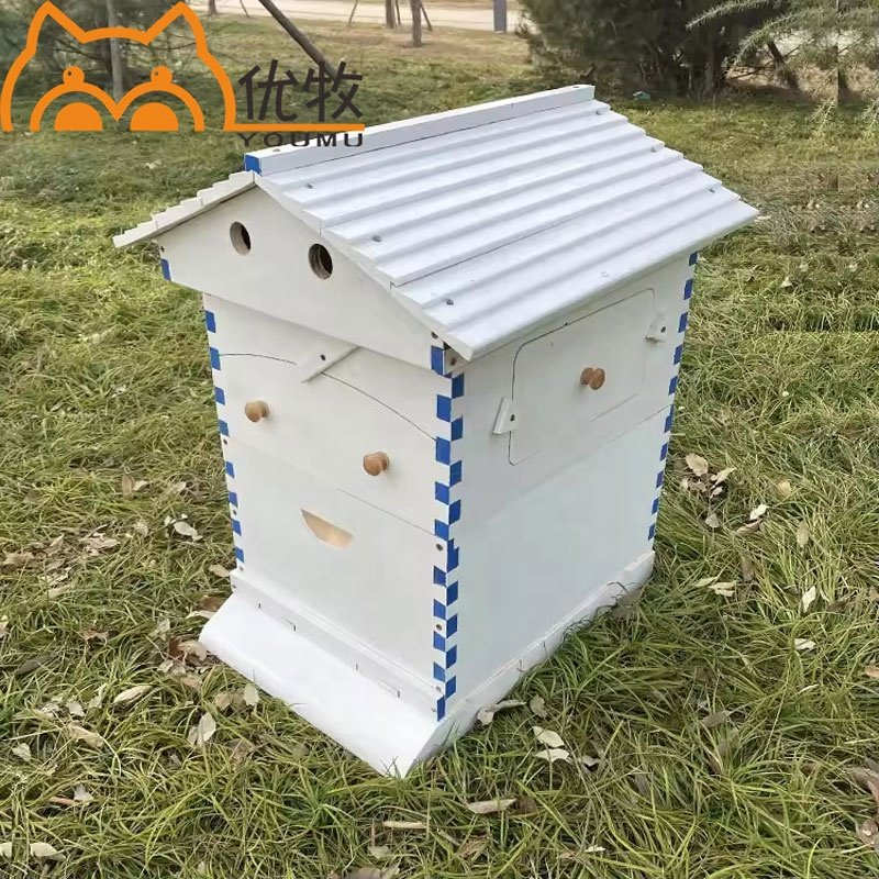 Automatic Wood Bee Hives Auto Frames Automatic Honeybee Hive With 7 Pcs Frames Starter Kit