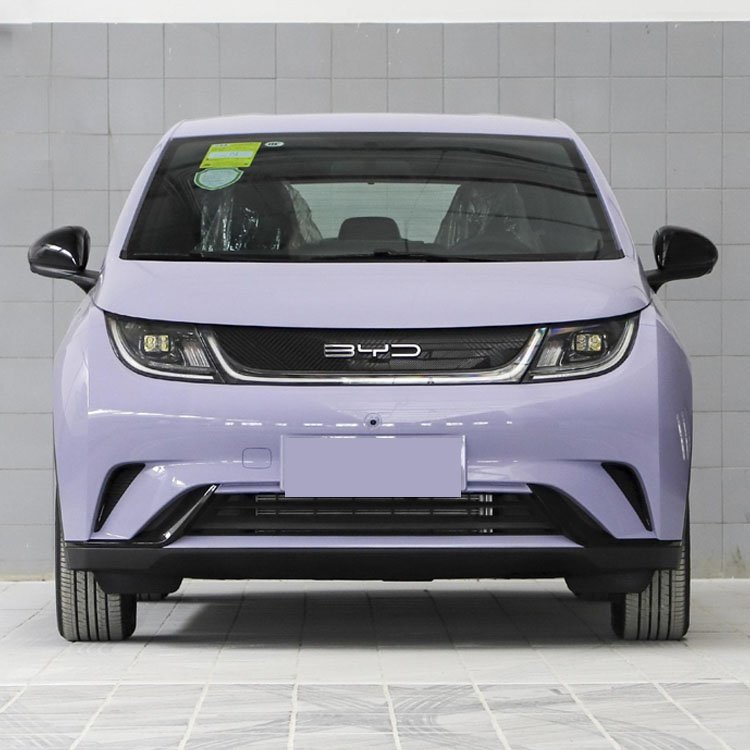Ev Brand Hot Sales 2022 in Stock 100% Auto Byd Dolphin 2021 New Energy Car