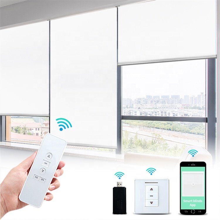 Customized Electric Remote Control Zigbee Tuya Google Day and Night Blackout Windproof Motorized Roller Blinds for Window