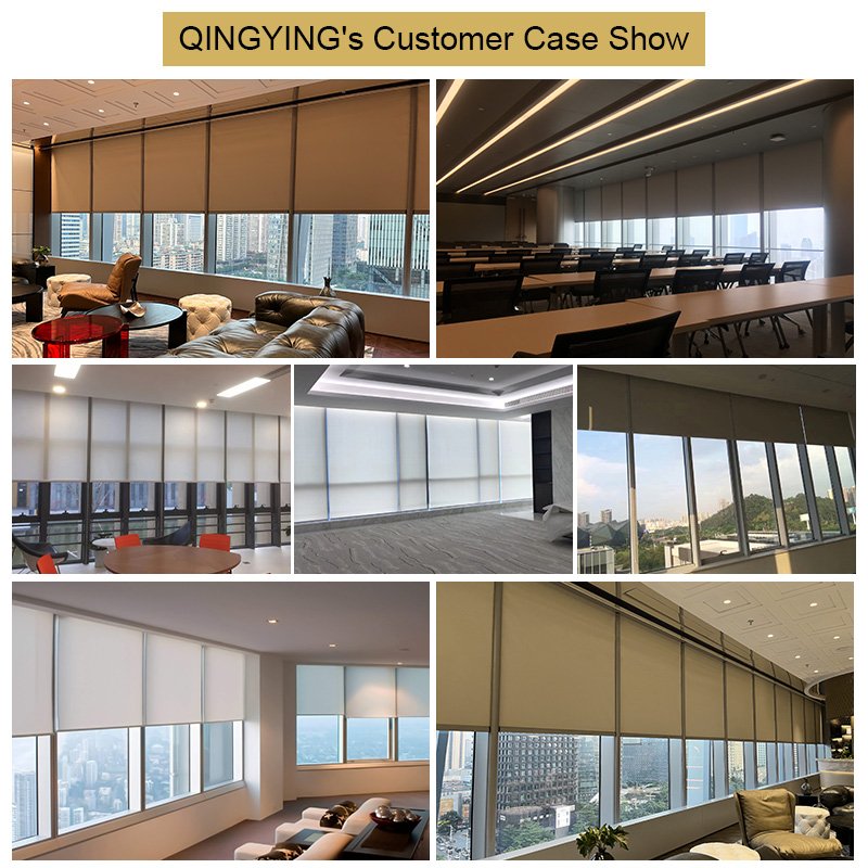 QINGYING Roller Blinds Shades Blackout Fabric Screen Smart Automatic Electric Motorized Remote Control Indoor Window Blinds