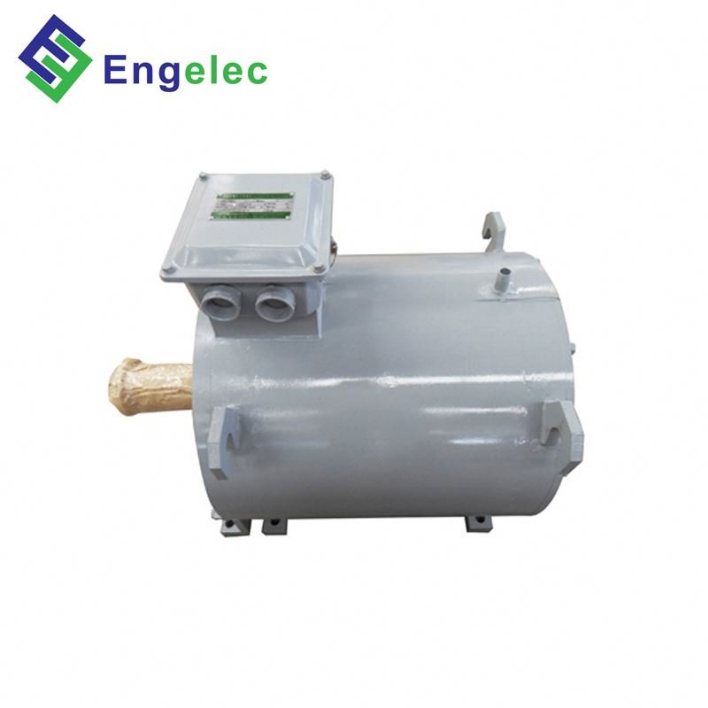 12V-380V AC/DC 100W-100KW 30rpm-6000rpm 50kw Low Rpm 50 Rpm Permanent Magnet Alternator Generator