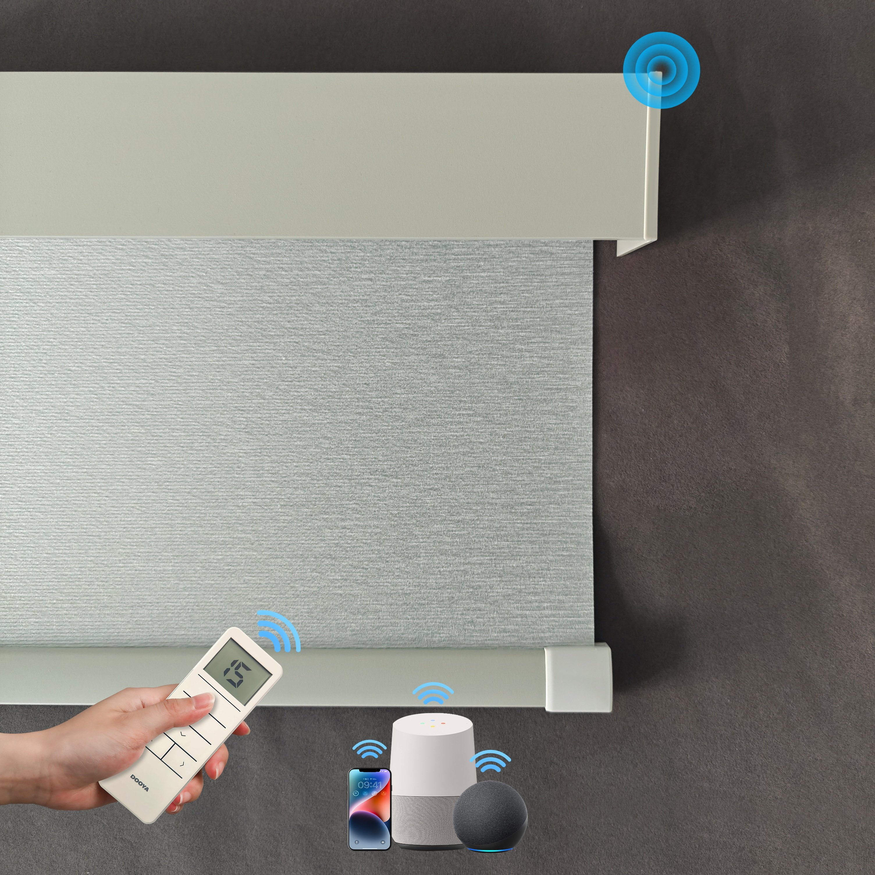 Roller Blinds Shades Blackout Fabric Screen Smart Automatic Electric Motorized Remote Control Indoor Window Blinds