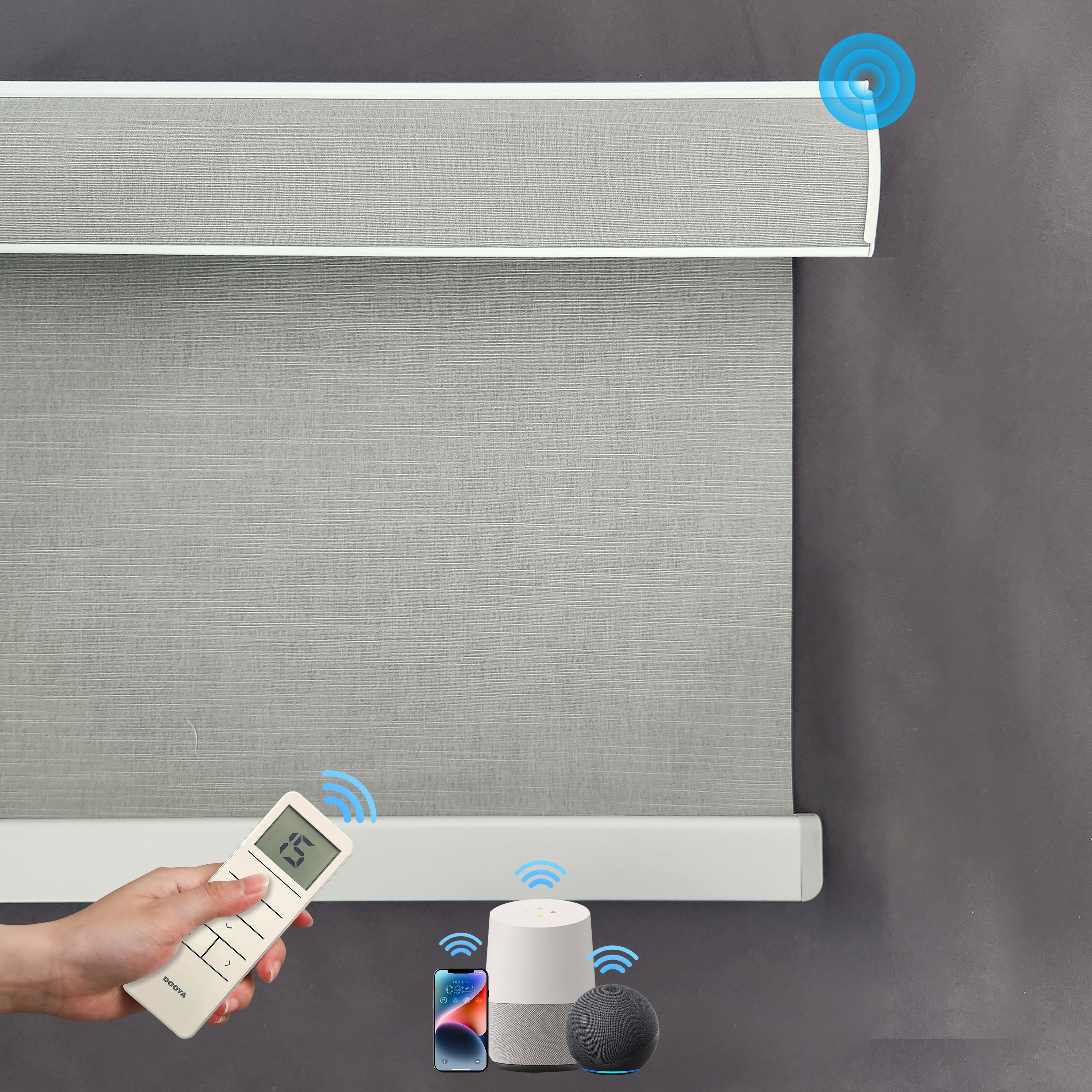 Roller Blinds Shades Blackout Fabric Screen Smart Automatic Electric Motorized Remote Control Indoor Window Blinds