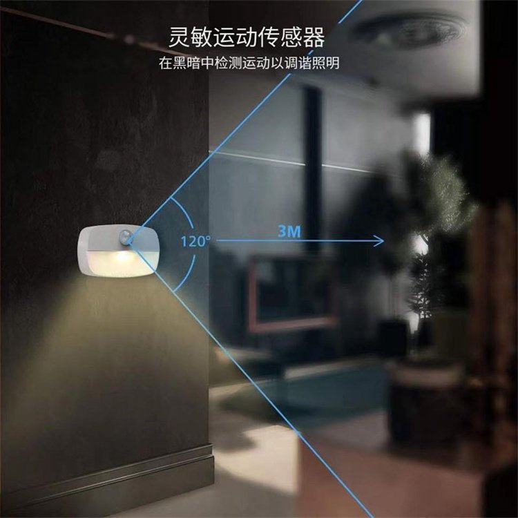 Wall Mounted Motion Sensor LED Battery Lamp Transparent Luminescent Cabinet Lamp