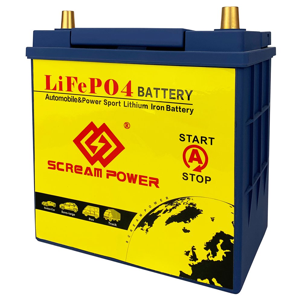 TCBWORTH Cheap Price 40B19 Car Engine Starter Battery Deep Cycle 12V 20Ah Car Start Lifepo4 Auto Battery 50CCA