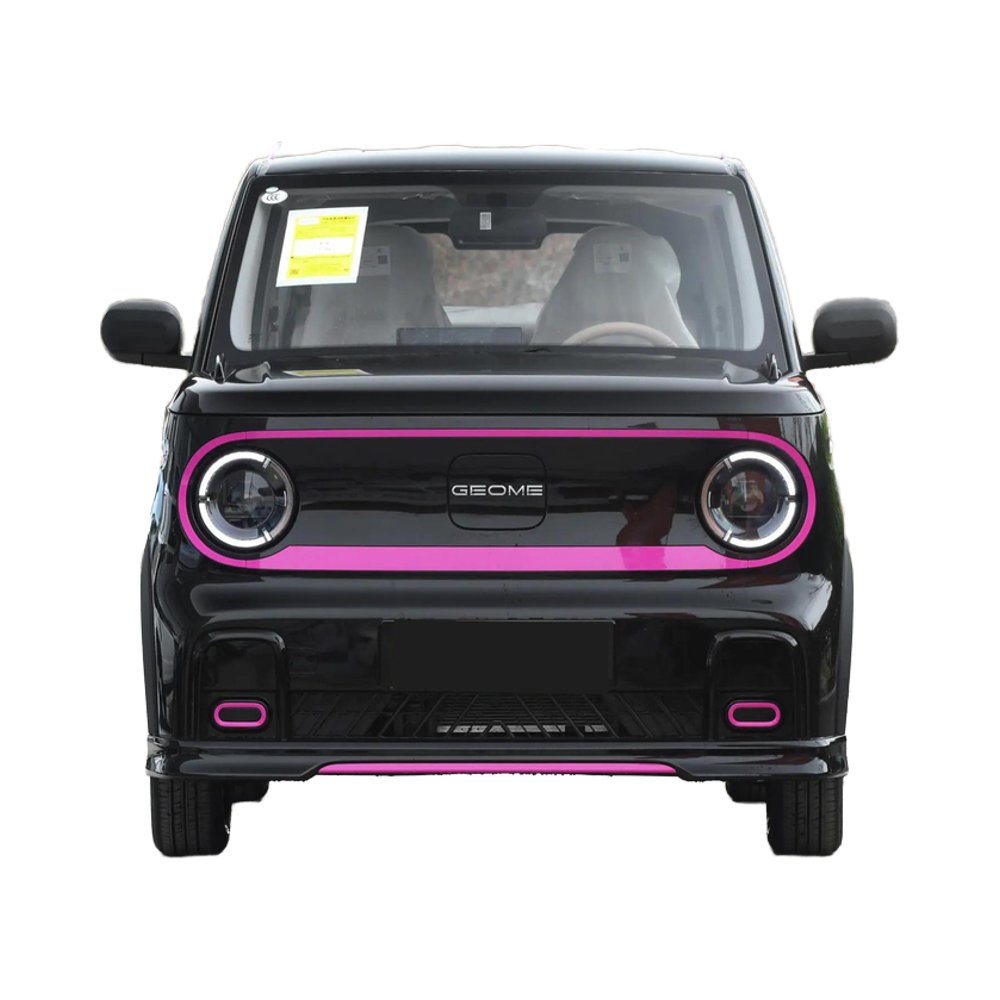 New Cars Geely Panda 200km Range for 2025 Geely Mini Car Panda Mini 200KM Fast Speed 100Km/h