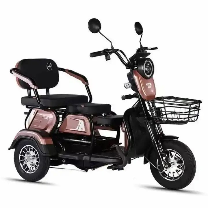 Cheap Price 600W 48V Ebike 3 Wheel Electric Tricycle Long Range Multifunction E-Bike Cargo Electric Bike for Adults
