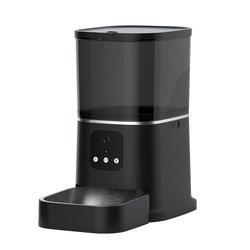 6L