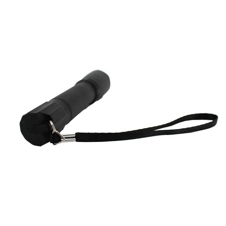 LEDUN - IP66 Explosion Proof Led Flashlight Atex Explosion-Proof Flash Lamp Rechargeable Led Flashlight for Zone 1 2 21 22