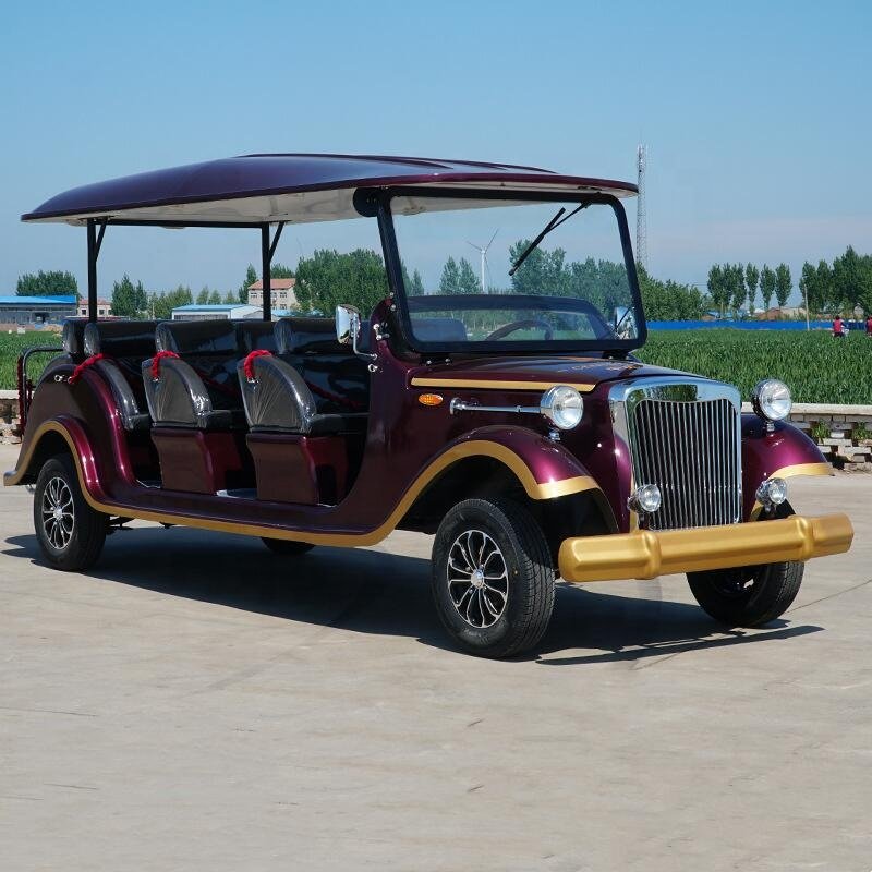 2025 Best Sell Closed Type 4 Wheel Passenger Vehicle Electric Personal Transport Car with CCC Certificate