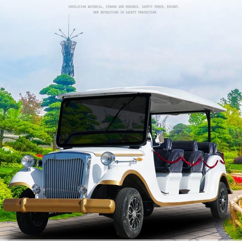 2025 Best Sell Closed Type 4 Wheel Passenger Vehicle Electric Personal Transport Car with CCC Certificate