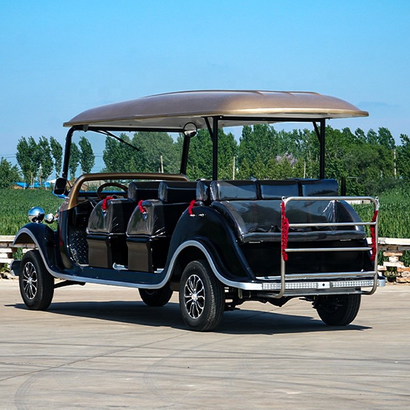 2025 Best Sell Closed Type 4 Wheel Passenger Vehicle Electric Personal Transport Car with CCC Certificate