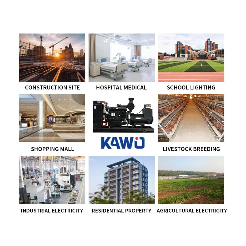 3 Phase Power 250kVA Generator Diesel 200kW Generator LPG 50Hz 60Hz Generator Bio Diesel With High Quality