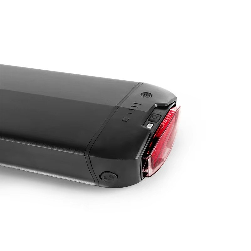 48v 14A Lithium Ion 18650 Battery Pack of Lithium Ion Batteries Reention Dorado Used for E-bike for Scooter Electric Bicycle