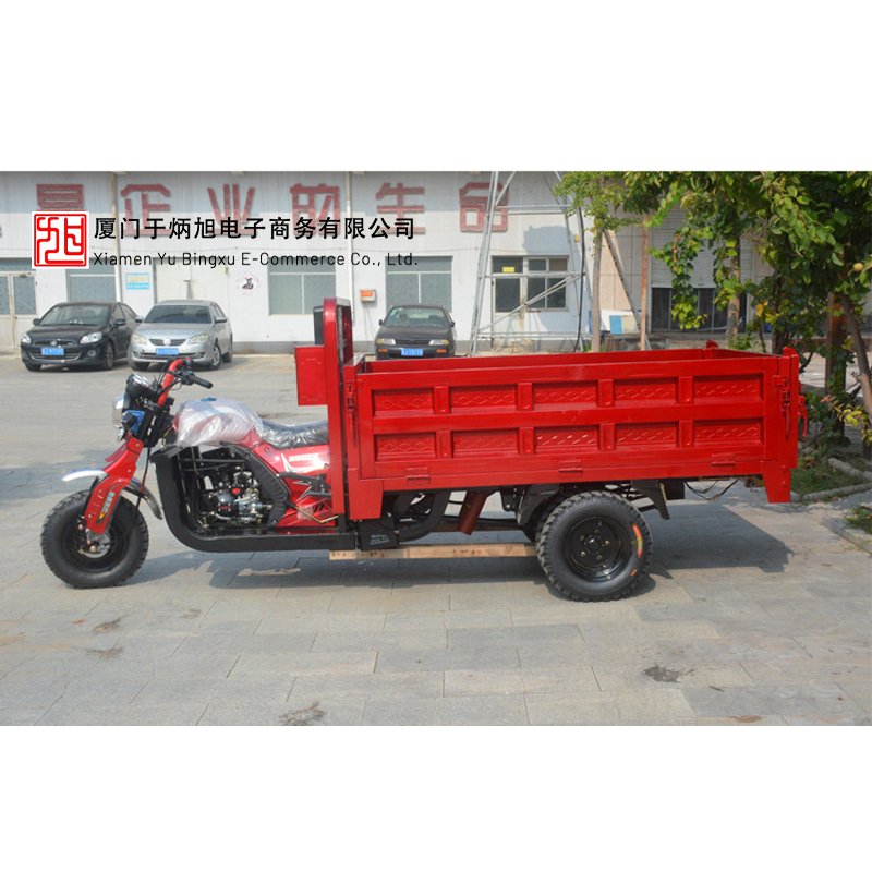 Tricycle Dump Truck Auto Loading 4000w Village off Road Electric Three Wheeler Motorcycle Cargo Tricycle Trike for Farm